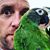 Dan Bomar's profile image