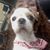 Emily Pasco Anderson's profile image