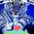 Denise Golden's profile image