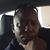 Trice L Turner's profile image