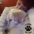 Mary Marra's profile image