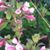 Janet Bell's profile image