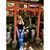 Judy Nappi's profile image