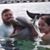 Deb Ferraro's profile image