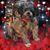 Carol Lavelle Kufner's profile image