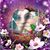 Baseemah Jones's profile image