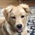 Maggie Moffitt's profile image