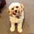 Scott Sepulveda-Evans's profile image