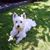 Twyla Paynter's profile image