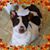 Kristal Sullivan's profile image