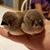 Donna Duesterberg-Garel's profile image