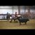 Sharon Timmons's profile image