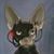 Ev Torres's profile image