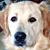 Michael Wyeth Sr.'s profile image