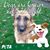 Elaine Adams's profile image