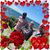 Coral Lynch's profile image