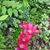 Glenda Montufar's profile image