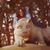 Susan Forman's profile image