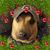 Barb Howell's profile image