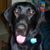Amie N Brian Hinshaw's profile image