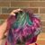 Amy Lovel Minton's profile image