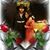 Aidaychuy Cadena Ramirez's profile image