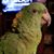 Linda K Hirte's profile image