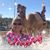Melinda Coldwell's profile image