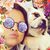Beatriz Soriano's profile image