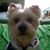 Jules Chan's profile image