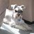 Julie Womack's profile image