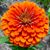 Kay Powell's profile image