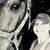 Jody Burns VanderLeest's profile image