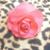 Toro Lopez's profile image