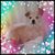 Shelley Mansker's profile image