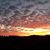Nancy Gardner Wissel's profile image