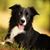 Lisa Mee-Stephenson's profile image