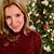 Shannon Desilets's profile image