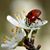 Kathy Wertz's profile image