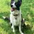 Carri Corbell Belokin's profile image
