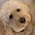 Teresa Leonia's profile image