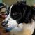 Shelly Casey's profile image
