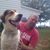 Tom Clauser's profile image