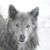 Diana Stone's profile image