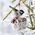 Brenda Messerschmidt-Froelich's profile image
