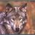 Ralph Dean's profile image