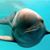 Carlos R. Alvarez-Jarvis's profile image