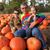 Darlene Kelly Safrit's profile image