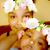 Brittany Pettaway's profile image