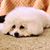 Walter Illy's profile image